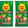 Chupa Chups Cotton Bubble Gum 11g Watermelon flavor pack